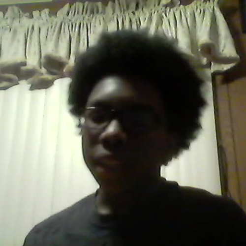 3.02 Describing family visual presentation