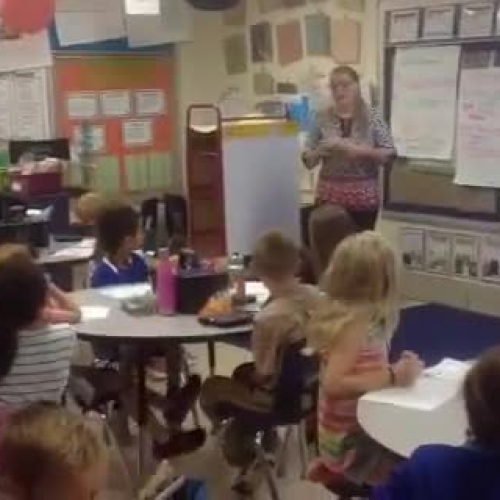 Melissa Butler teaching video