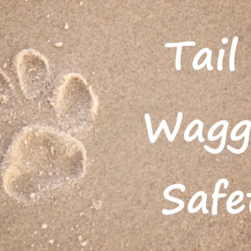 Tail Waggin' Safety