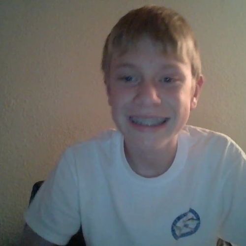 3.02 Describe the Family Visual Presentation