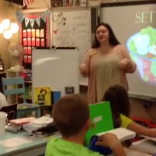 Sarah Harbaugh Teaching Video