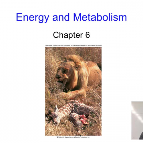 Flow of energy and laws of thermodynamics