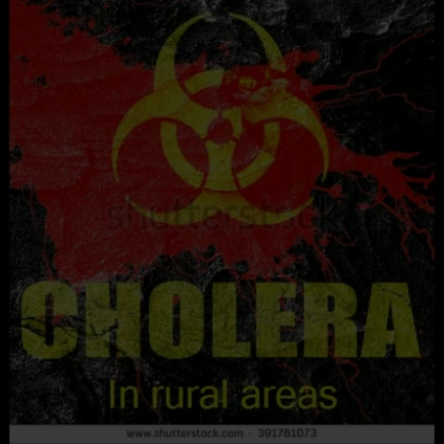 PSHA-Cholera