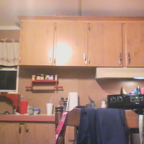 03.02 Describe the Family Visual Presentation