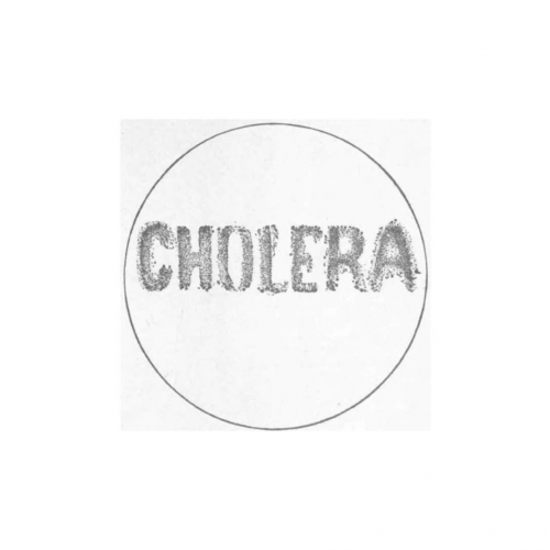 Cholera PSHA