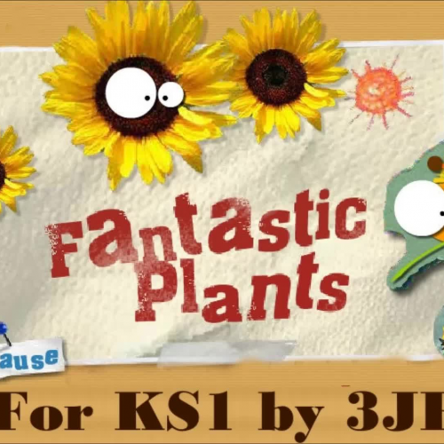 3JB Explain Plants