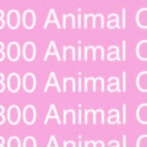 Sofia and Patricia's Cell Rap