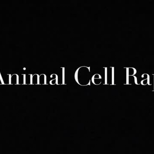 Animal Cell Rap by Jordan and Ricky