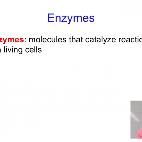 Enzymes