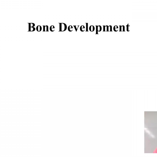 Bone Growth and homeostasis