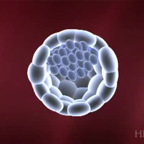 How to Make Stem Cells