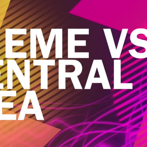 Theme VS Central Idea