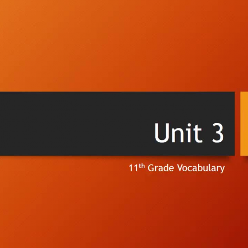 Unit 3 Vocabulary-11th Grade