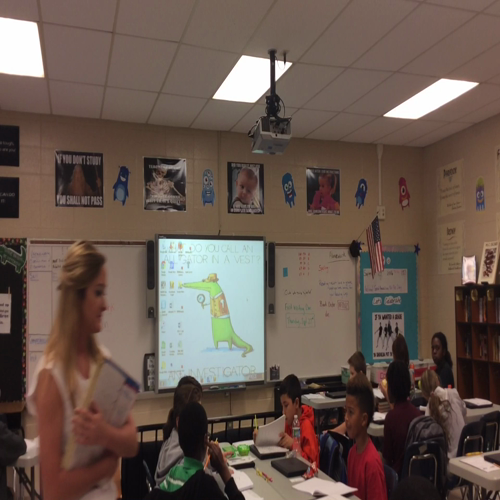 Meghan Hobbs teaching video