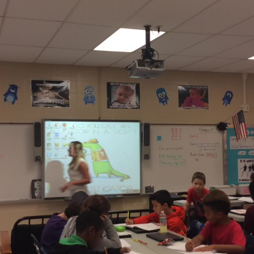 Meghan Hobbs teaching video