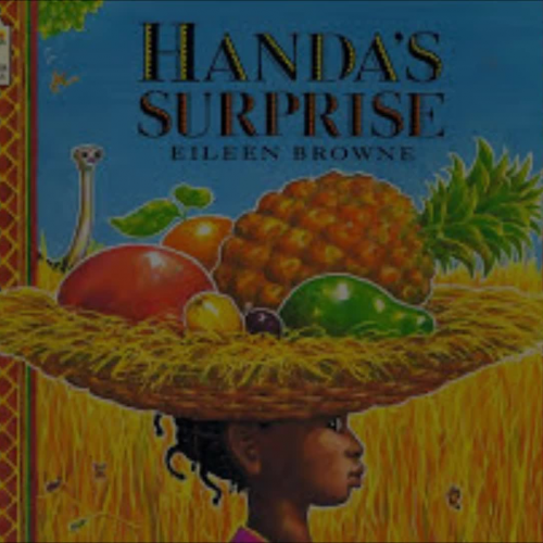 Handa's Surprise