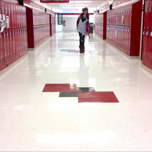 The Skin I'm In Music Video