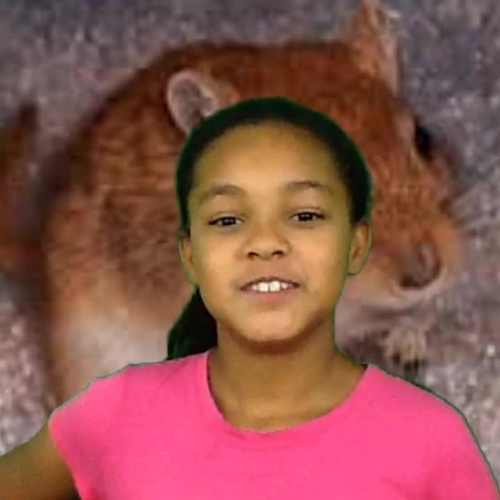 Niyara S. Introduction