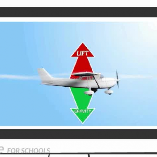 The Four Forces of Flight