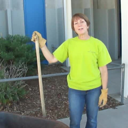 Fall Garden Clean Up - Station 3