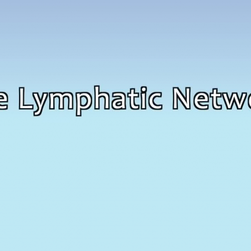 Introduction to the Lymphatic System