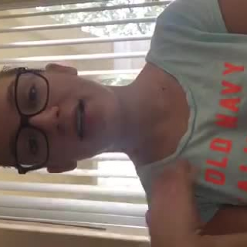 3.02 Gesture Visual Presentation