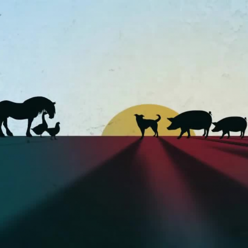 Animal Farm Intro 