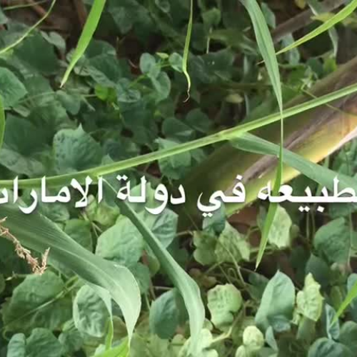 Sustainability is happiness#3