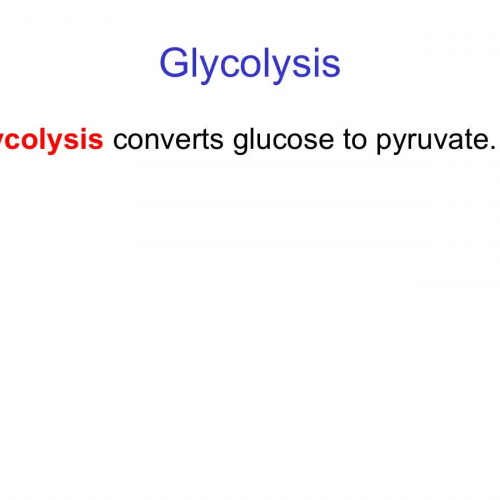 Gycolysis