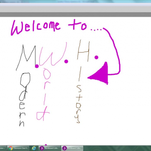 Modern World History 