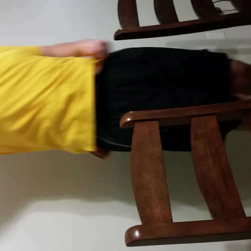  03.02 Describe the Family Visual Presentation