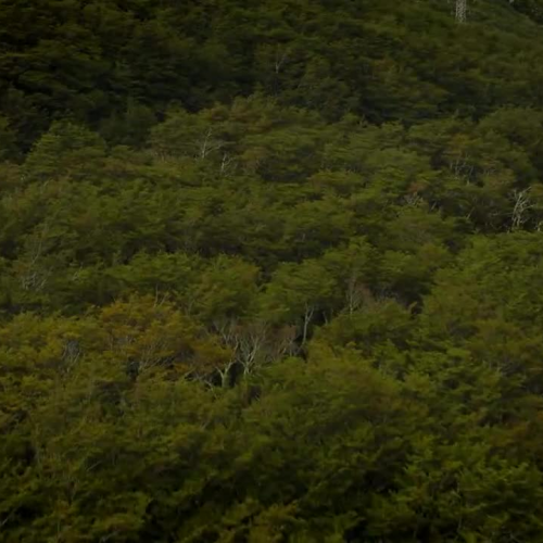  Wilma and Grant McGregor