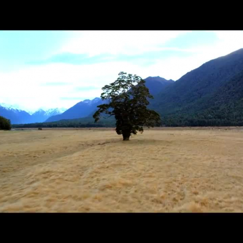 Wilma and Grant McGregor