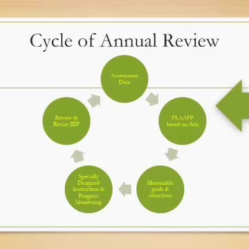 Cycle of Annual Review