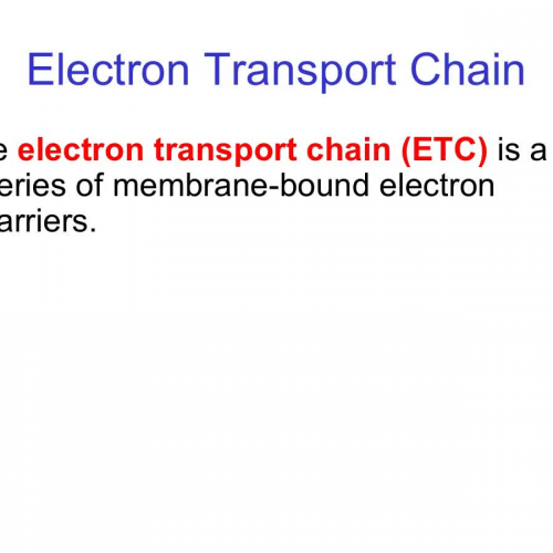 Electron Transport Chain and Chemiosmosis