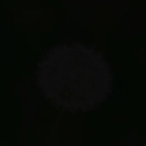 Coronado Garden Harvest Festival