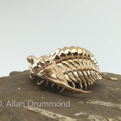 3D Printing Trilobites