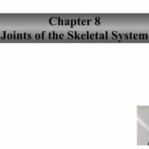 Overview of joints