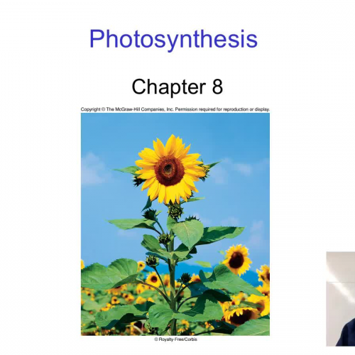 Overview of photosynthesis