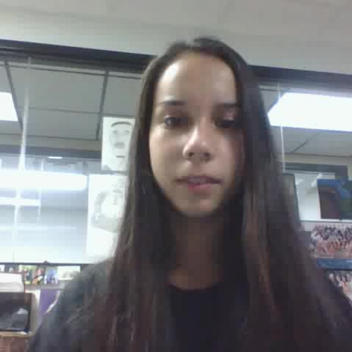 SalazarAlexandra-3.02DescribetheFamilyVisualPresentation