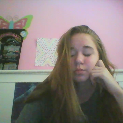 3.02 describe the family visual presentation