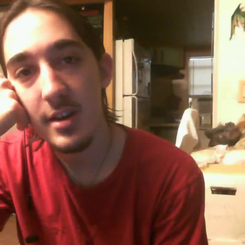 03.02 Describe The Family Visual Presentation - Spanish 1 FLVS