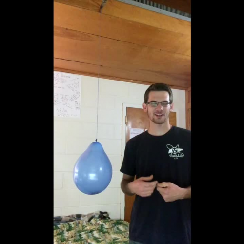 Sporangia Flinn Demo a Day  Page 202