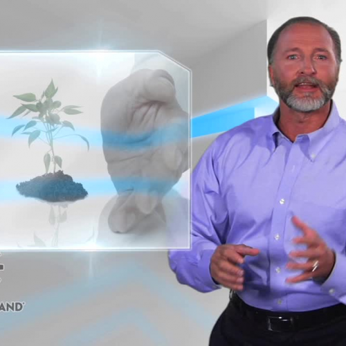 Less Emotion Less Commotion 