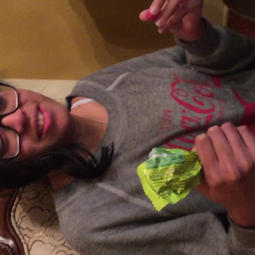 03.02 Describe the Family Visual Presentation 