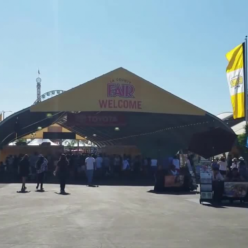 FUN WITH DRONES! Los Angeles County Fair, HUGE Alligator & BFF Caitlyn | LiL Abby Weekly Adventures