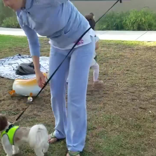 KITCHEN SET FUN! Plummer Park, Scooter Fun and Toys | LiLAbby Weekly Adventures!