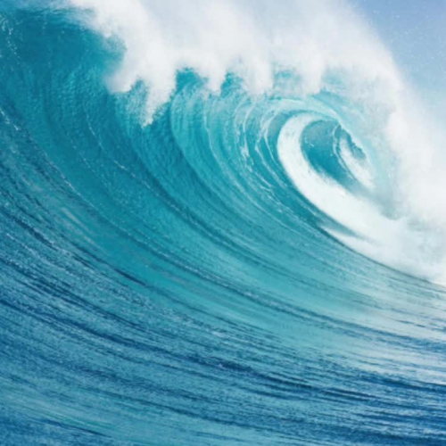 Ocean Habitat - Christina, Wendy, Anna and Cho Young