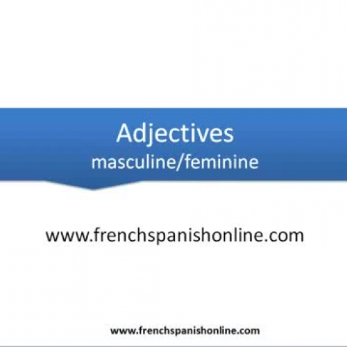Adjectives in French
