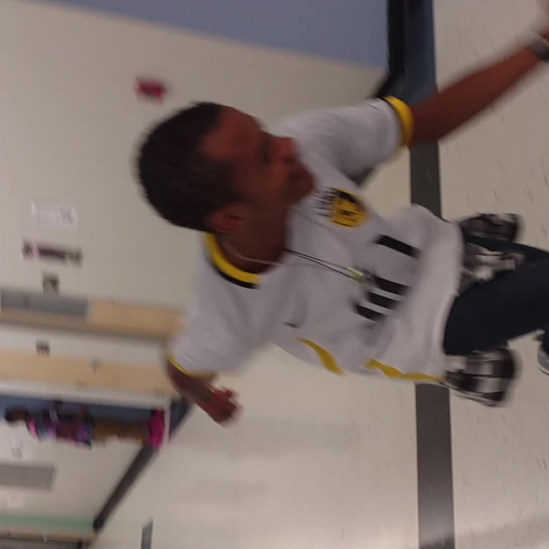 03.02 Describe the Family Visual Presentation